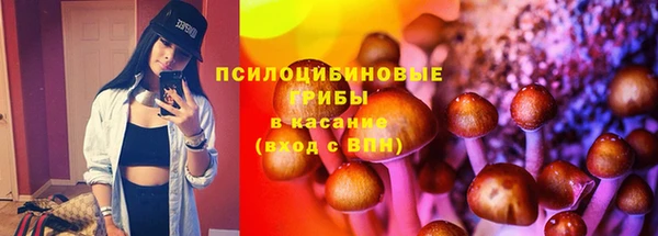 эйфоретик Инта