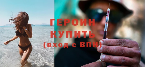сатива Туринск