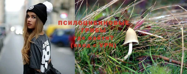 прущие крисы Иннополис