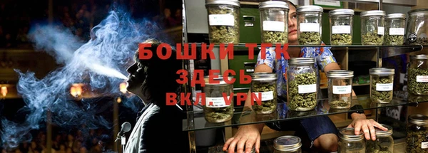 эйфоретик Инта