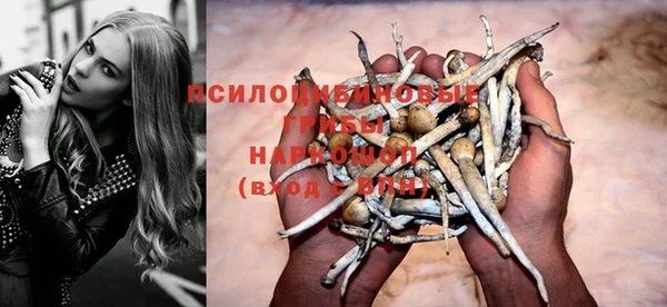 прущие крисы Иннополис