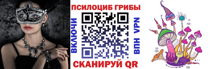 Купить  Сланцы  Псилоцибиновые грибы Cubensis
